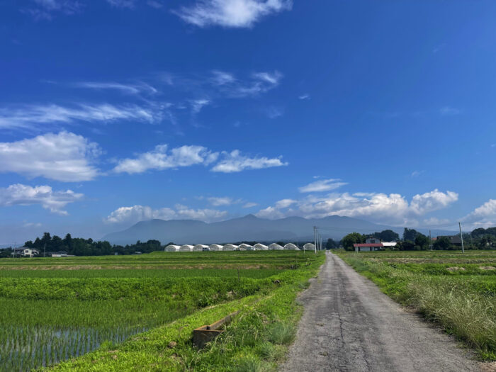7月4日(木)　AM 8:57　前橋市苗ケ島町