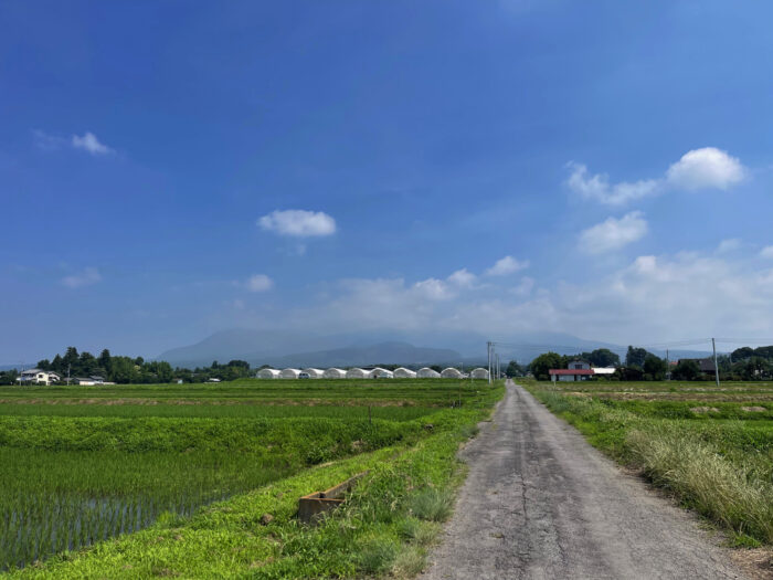 7月5日(金) AM 9:32 前橋市苗ケ島町