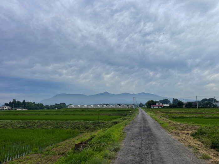 7月9日(火)　AM 8:36　前橋市苗ケ島町