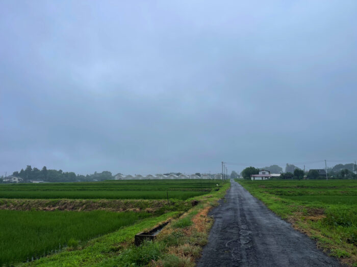7月15日(月)　AM 7:00　前橋市苗ケ島町