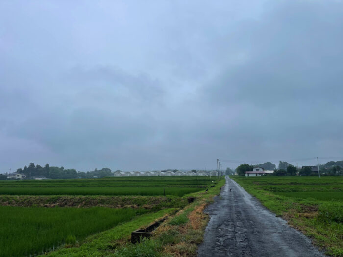 7月16日(火)　AM 9:07　前橋市苗ケ島町