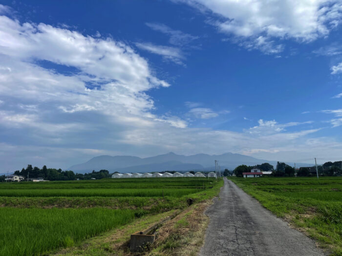 7月20日(土)　AM 8:23　前橋市苗ケ島町