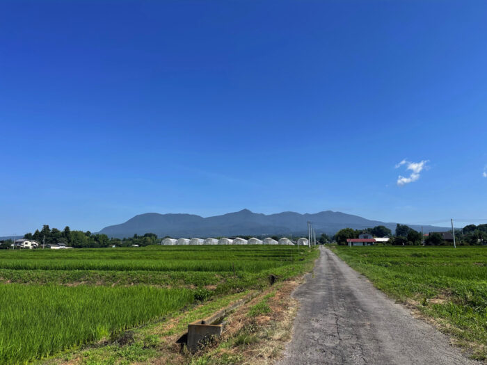 7月22日(月)　AM 8:58　前橋市苗ケ島町