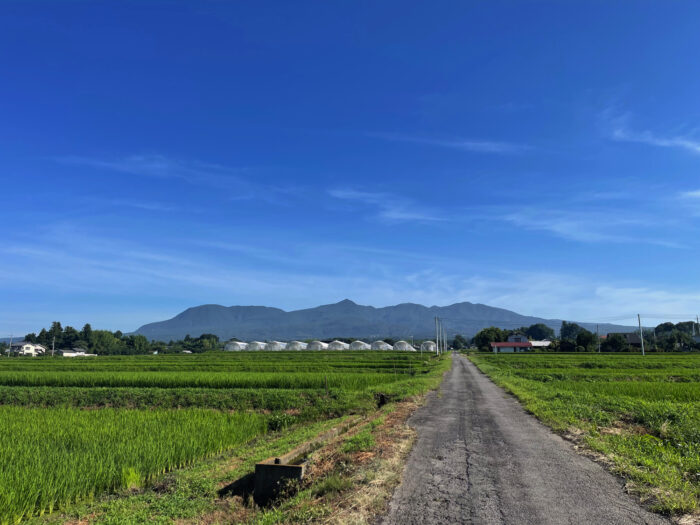 7月23日(火)　AM 7:43　前橋市苗ケ島町