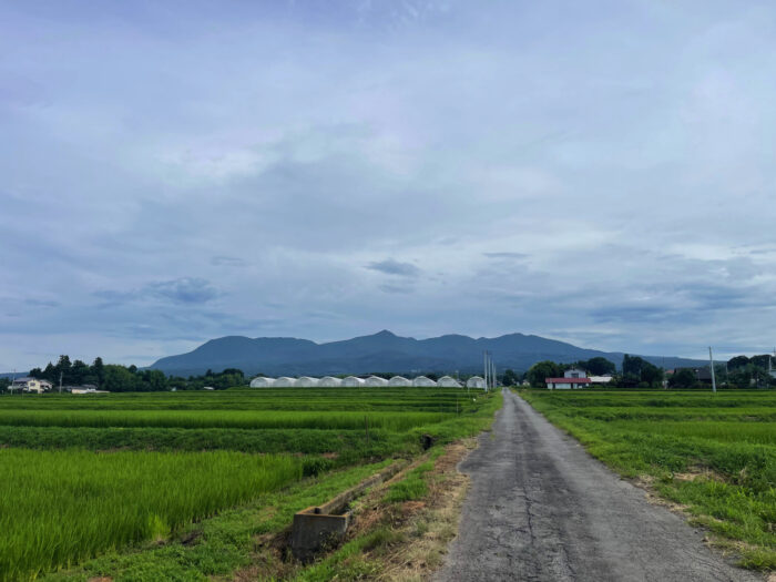 7月25日(木)　AM 8:17　前橋市苗ケ島町