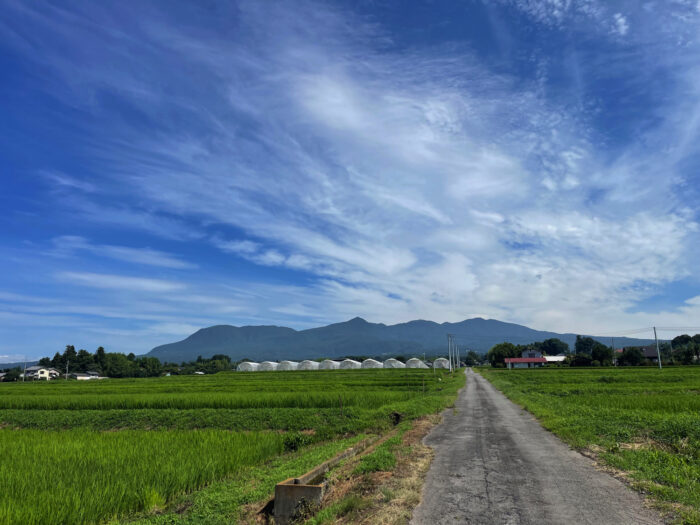 7月26日(金)　AM 9:18　前橋市苗ケ島町