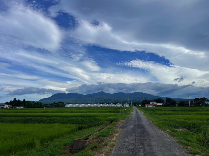 7月28日(日)　AM 8:08　前橋市苗ケ島町