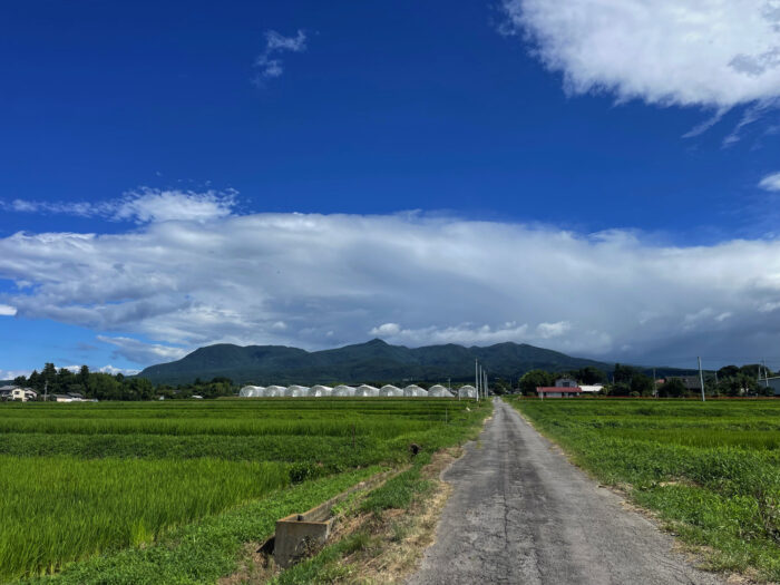 7月30日(火)　AM 9:15　前橋市苗ケ島町