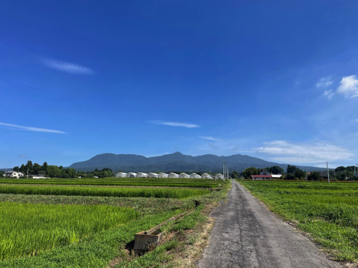 8月1日(木)　AM 8:40　前橋市苗ケ島町