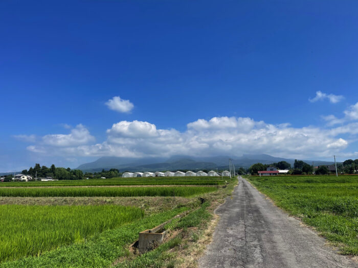 8月2日(金)　AM 9:25　前橋市苗ケ島町
