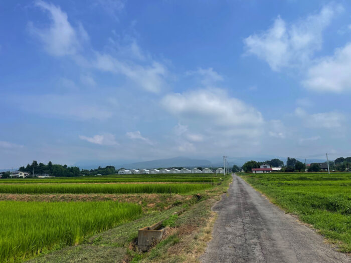 8月5日(月) AM 9:27 前橋市苗ケ島町