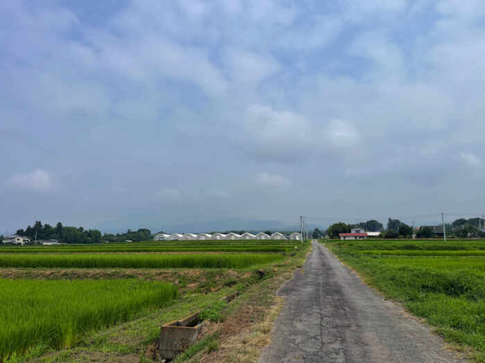 8月6日(火)　AM 9:55　前橋市苗ケ島町