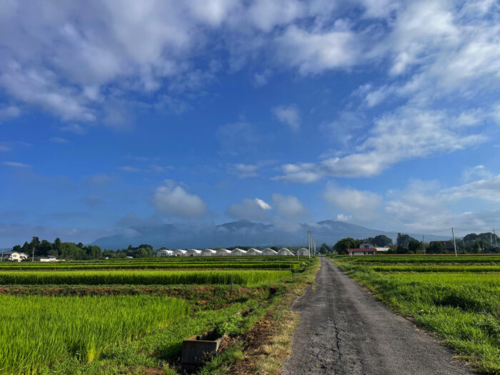 8月8日(木)　AM 7:01　前橋市苗ケ島町