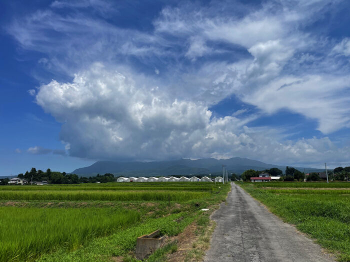 8月10日(土) AM 10:51 前橋市苗ケ島町