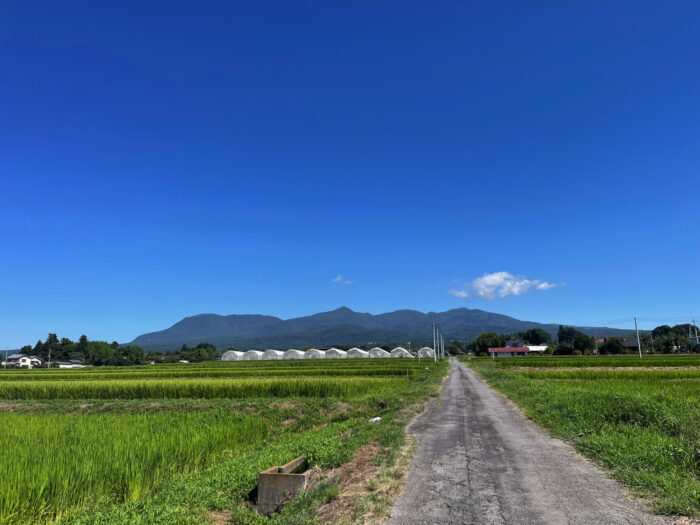 8月11日(日) AM 9:23 前橋市苗ケ島町