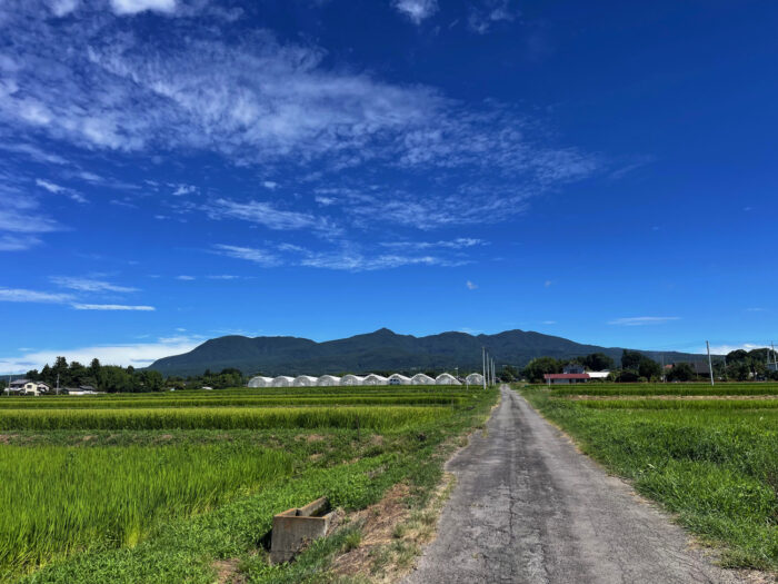 8月12日(月)　AM 9:18　前橋市苗ケ島町