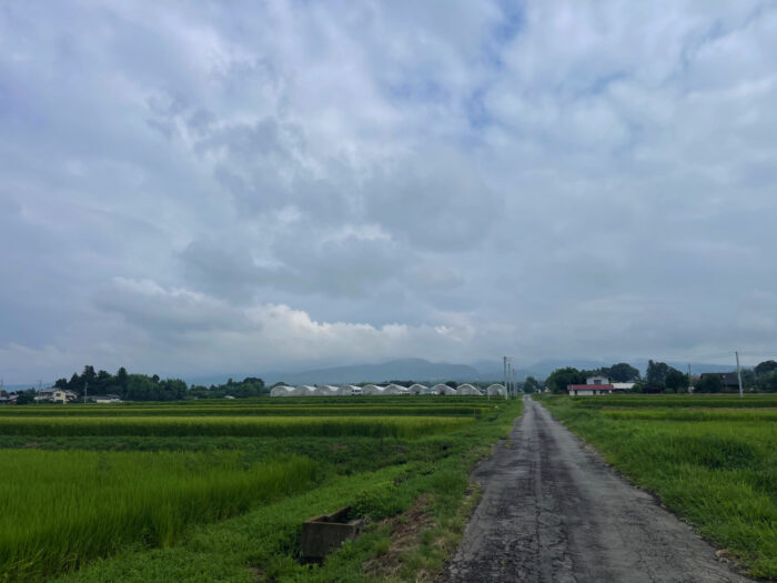 8月15日(木) AM 8:40 前橋市苗ケ島町