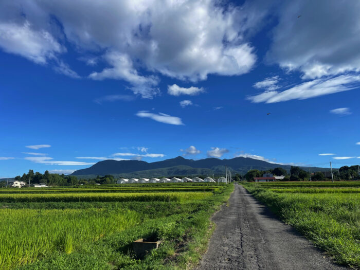 8月17日(土)　AM 7:03　前橋市苗ケ島町