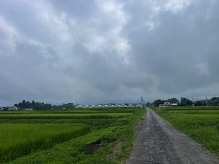 8月18日(日) AM 8:16 前橋市苗ケ島町