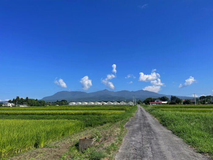 8月20日(火)　AM 9:03　前橋市苗ケ島町
