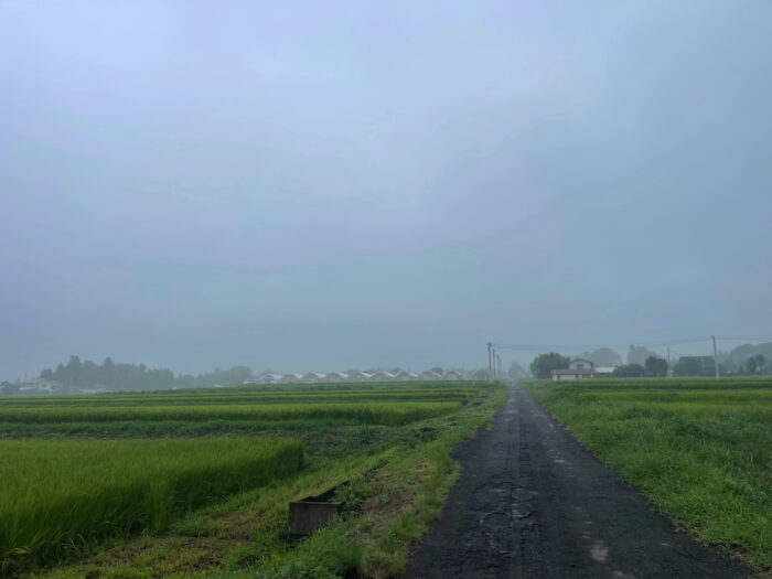 8月22日(木)　AM 8:46　前橋市苗ケ島町