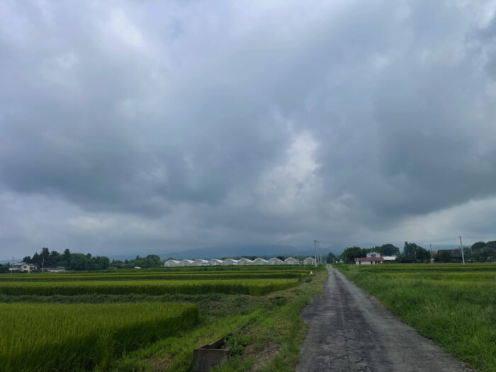 8月23日(金)　AM 9:34　前橋市苗ケ島町
