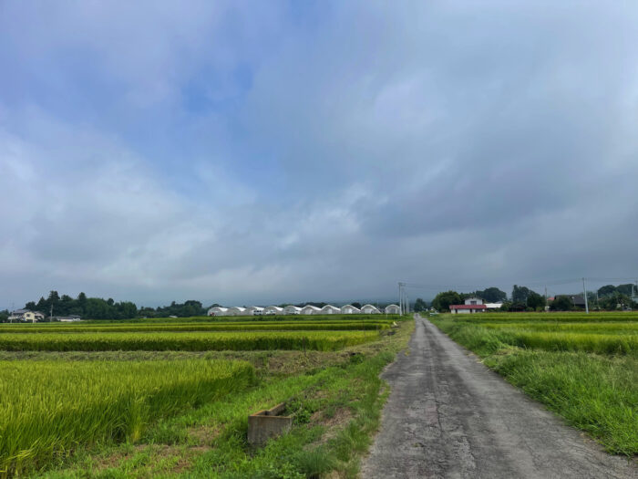 8月24日(土) AM 8:47 前橋市苗ケ島町