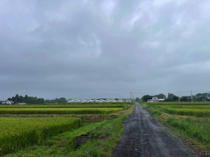 8月26日(月) AM 7:05 前橋市苗ケ島町