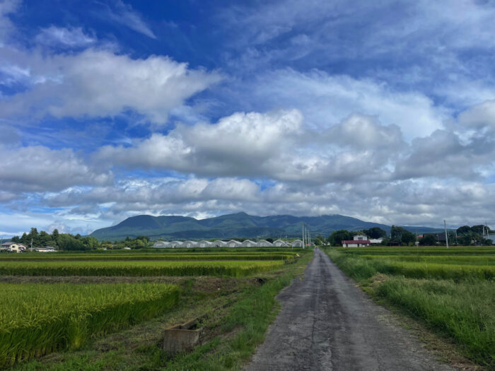 8月27日(火)　AM 9:01　前橋市苗ケ島町