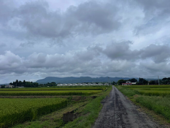 8月28日(水) AM 9:46 前橋市苗ケ島町