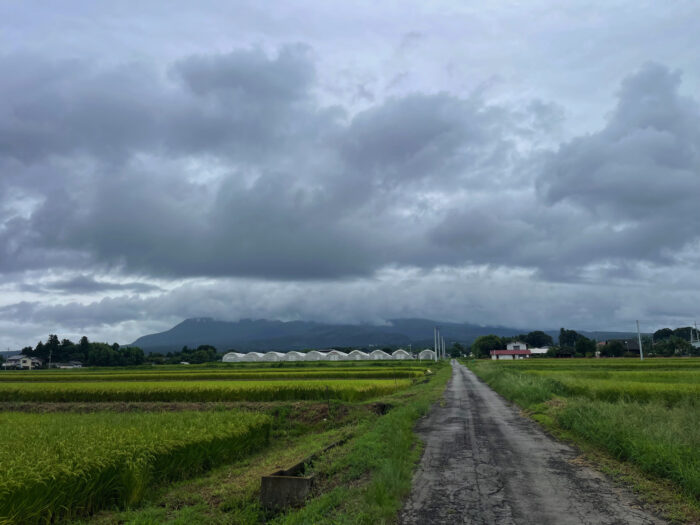 8月29日(木) AM 8:51 前橋市苗ケ島町