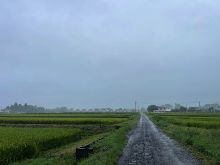 8月30日(金) AM 7:02 前橋市苗ケ島町