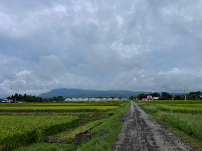 8月31日(土) AM 9:51 前橋市苗ケ島町