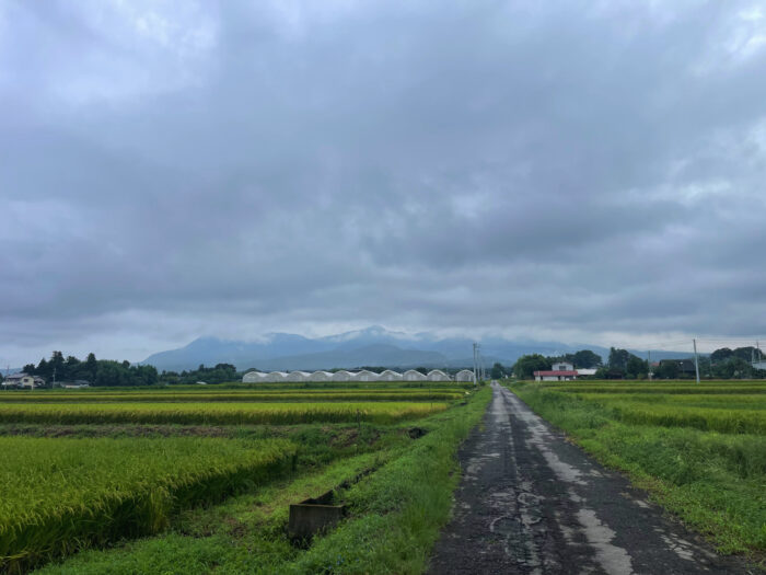 9月3日(火)　AM 7:05　前橋市苗ケ島町
