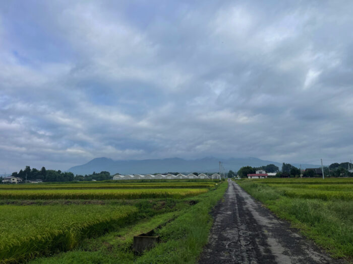 9月4日(水) AM 8:17 前橋市苗ケ島町