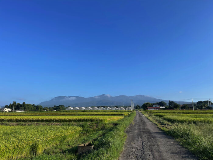 9月5日(木)　AM 6:59　前橋市苗ケ島町