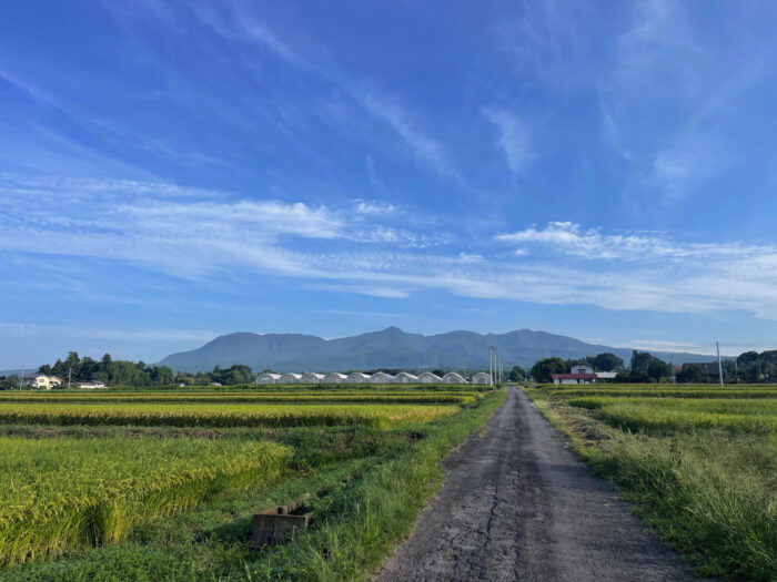 9月6日(金)　AM 7:03　前橋市苗ケ島町