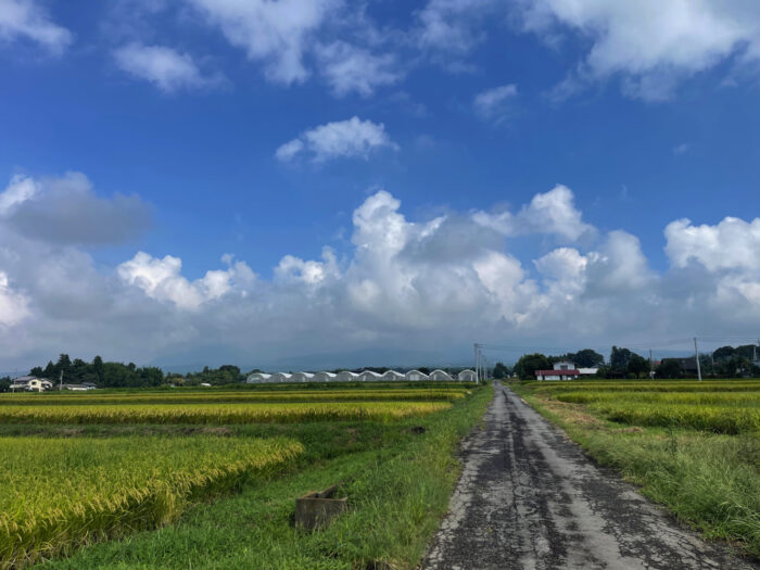 9月9日(月)　AM 9:33　前橋市苗ケ島町