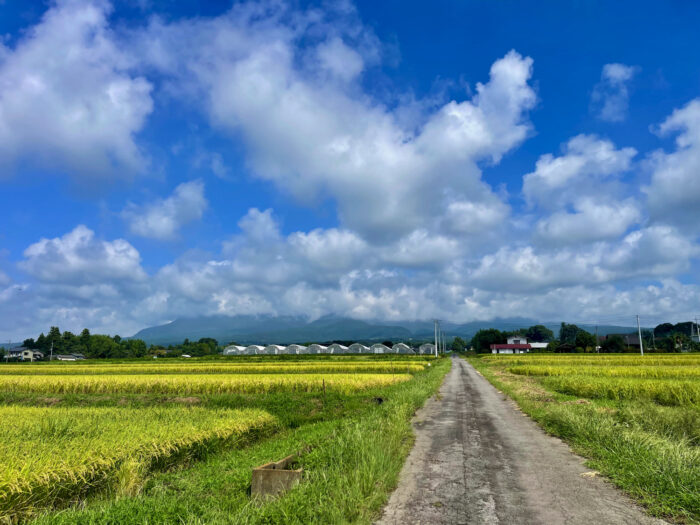 9月10日(火) AM 9:59 前橋市苗ケ島町
