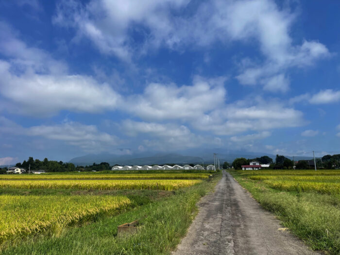 9月13日(金) AM 9:29 前橋市苗ケ島町