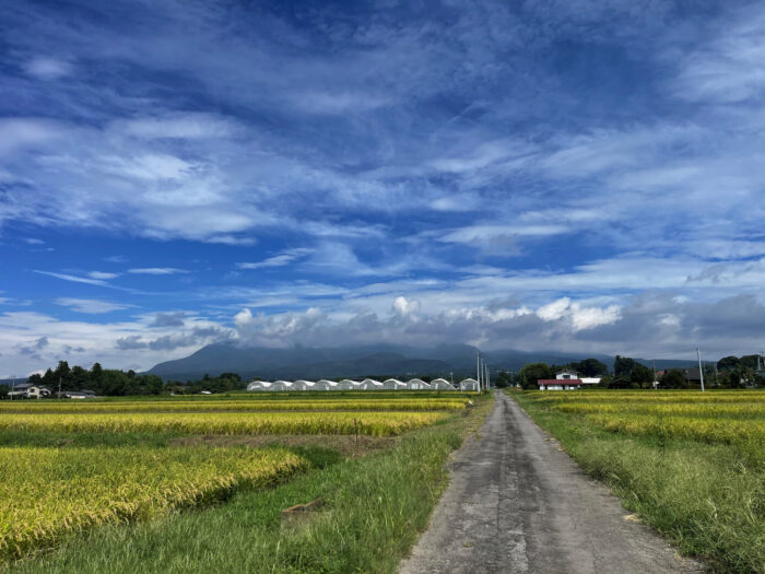 9月15日(日)　AM 10:09　前橋市苗ケ島町