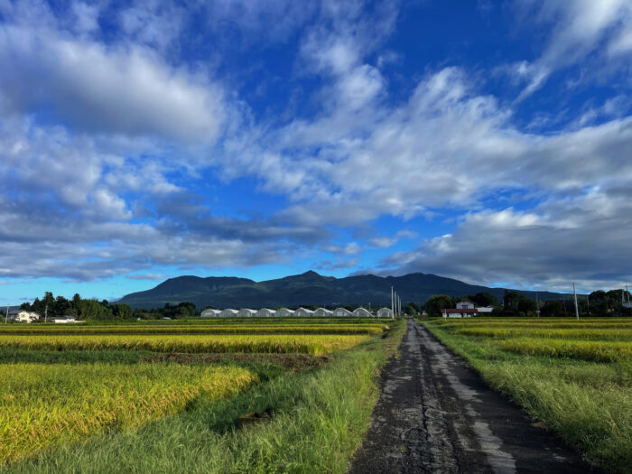 9月16日(月)　AM 6:59　前橋市苗ケ島町