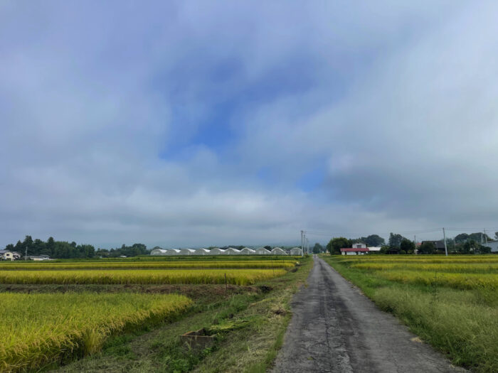 9月17日(火) AM 9:01 前橋市苗ケ島町