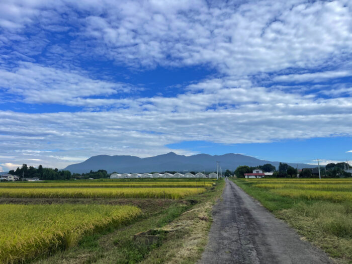 9月18日(水)　AM 8:10　前橋市苗ケ島町