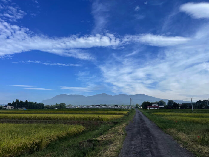 9月20日(金) AM 8:41 前橋市苗ケ島町