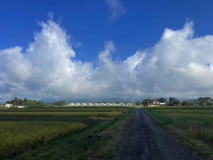 9月23日(月)　AM 8:17　前橋市苗ケ島町