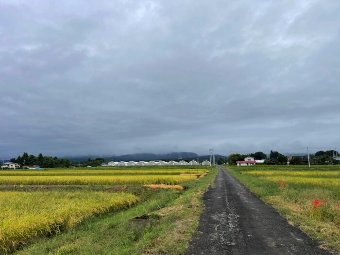 9月24日(火)　AM 9:34　前橋市苗ケ島町