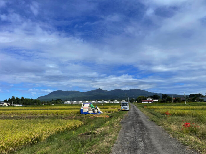 9月25日(水)　AM 9:02　前橋市苗ケ島町