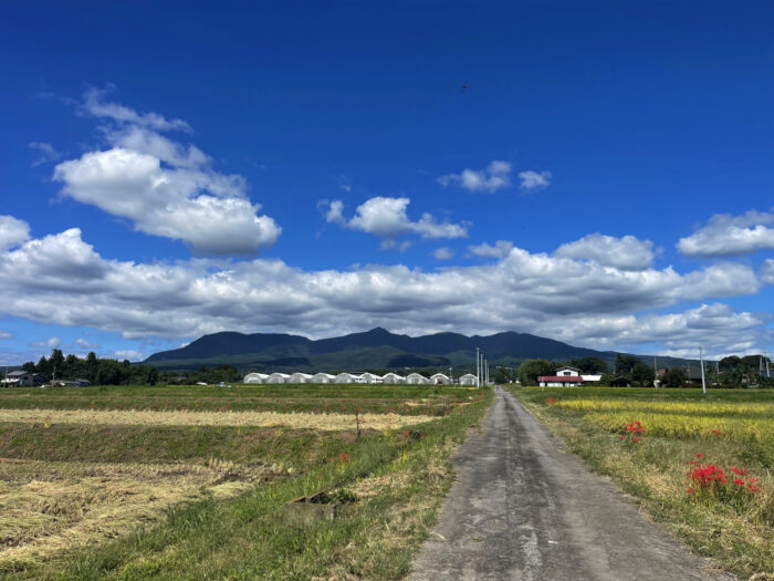 9月26日(木)　AM 11:39　前橋市苗ケ島町