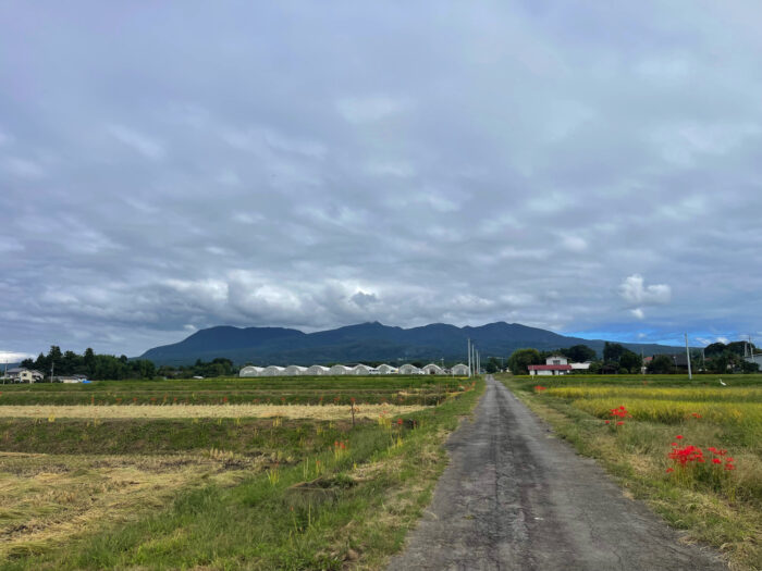 9月26日(木)　AM 8:51　前橋市苗ケ島町
